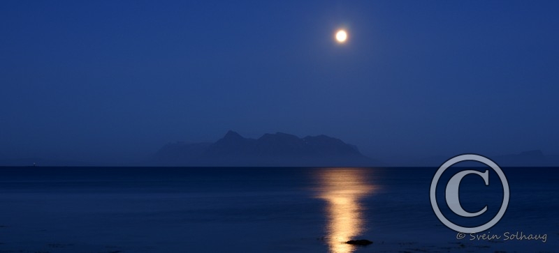 Grytøya