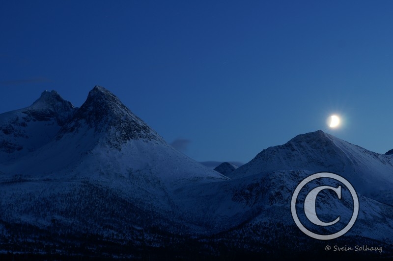 Forfjorddalen