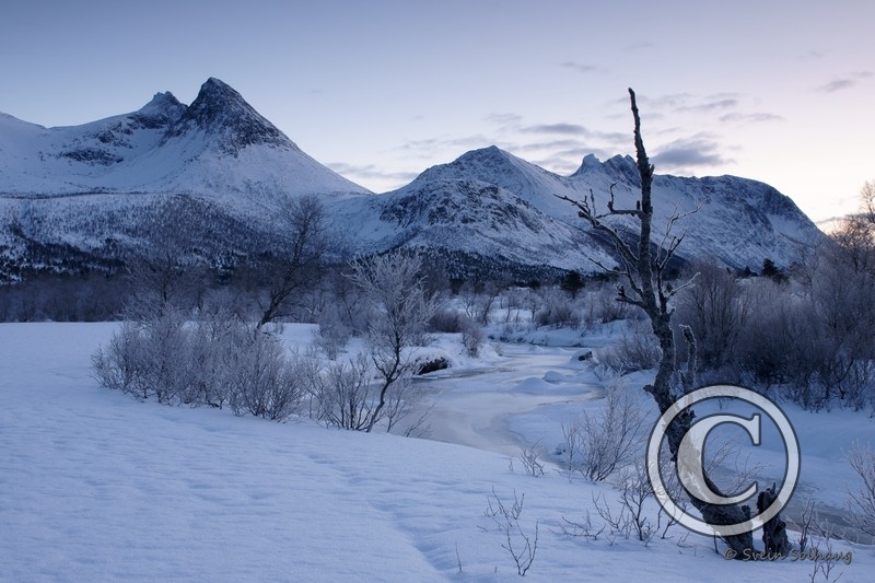 Forfjorddalen