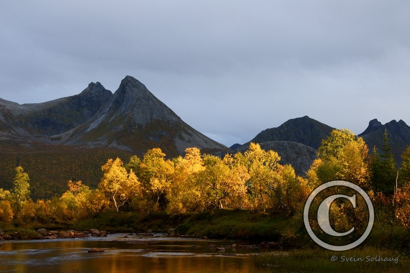 Forfjorddalen