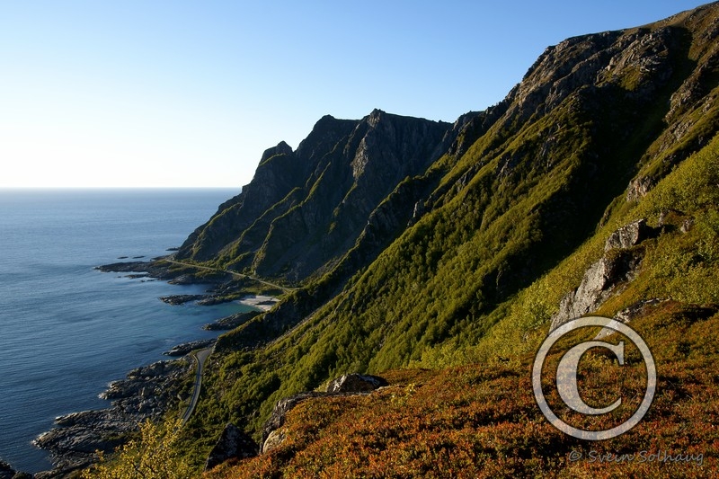 Sjøhusaksla