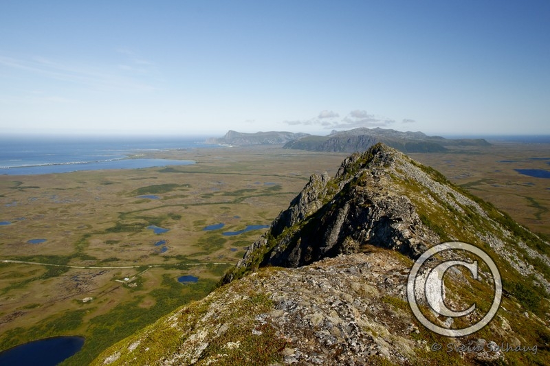 Bukkeskinnet