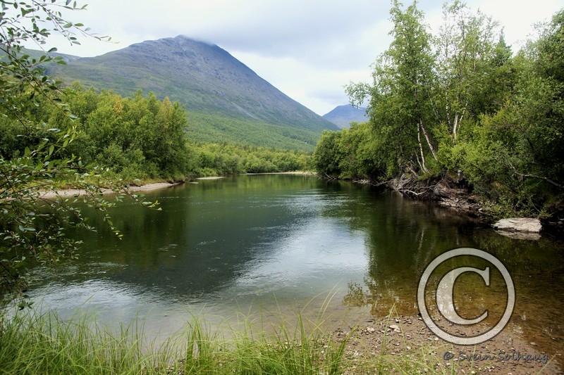 Dividalen