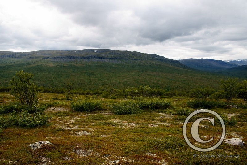 Dividalen
