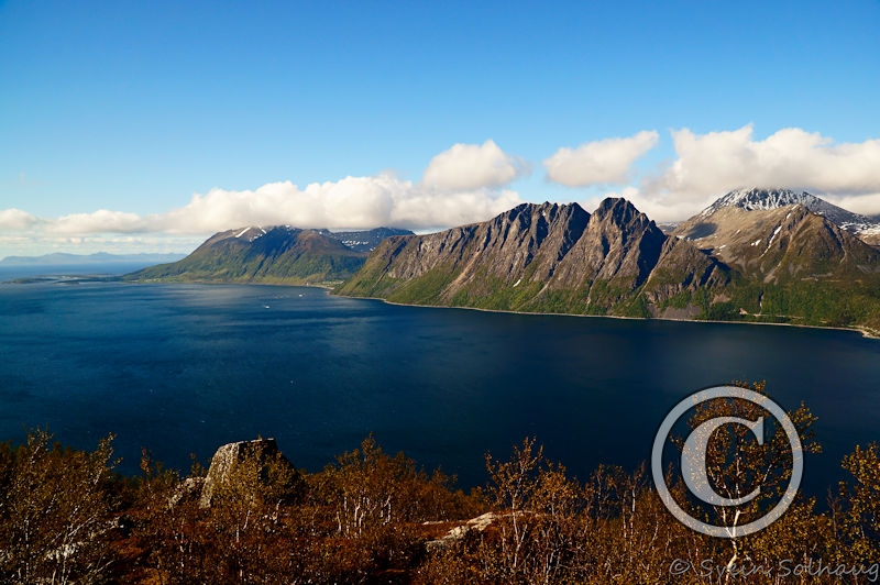 Grytøya