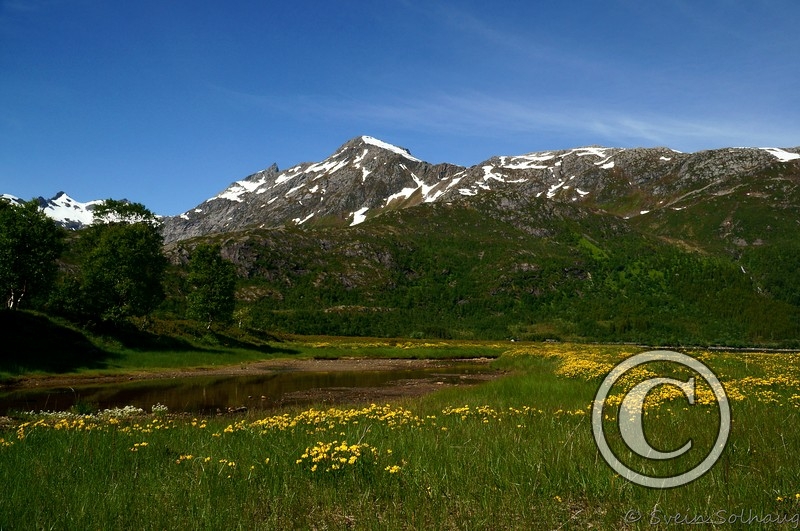 Gullesfjordbotn Gullesfjordbotn