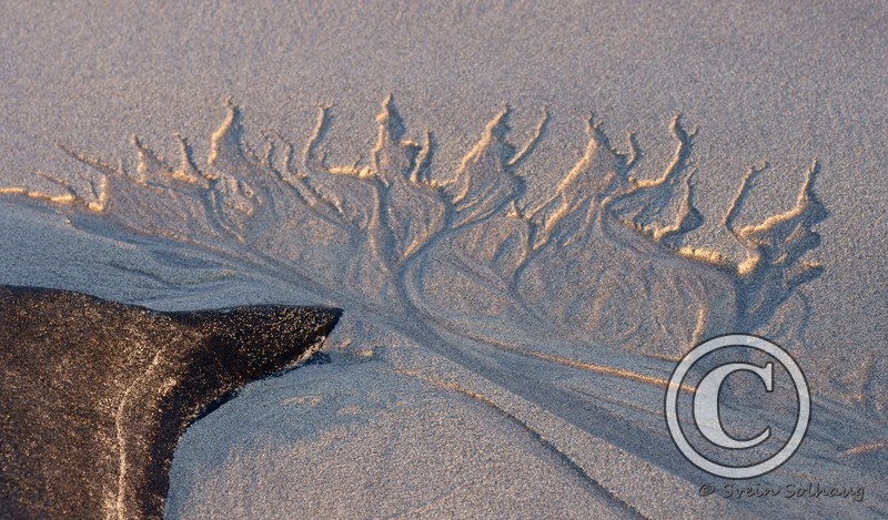 Sand