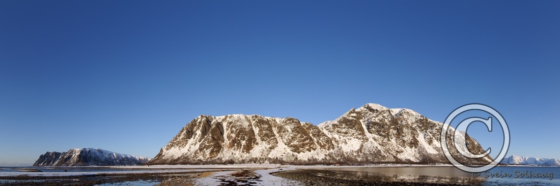 Nøssøyra