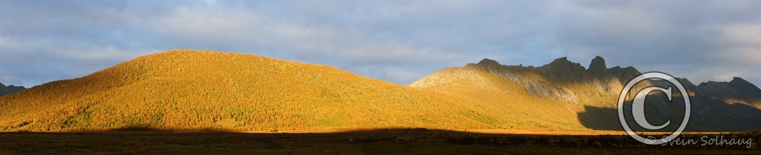 Roksøydalen