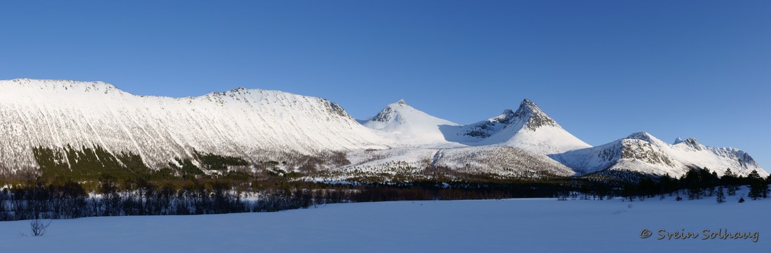 Forfjorddalen