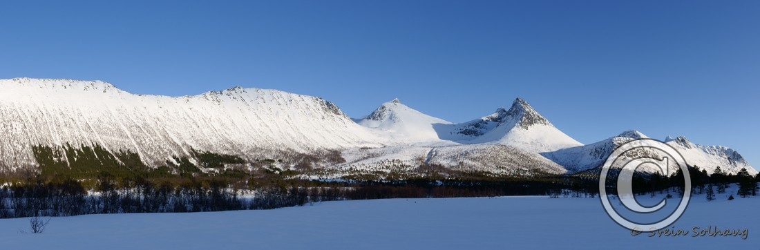 Forfjorddalen